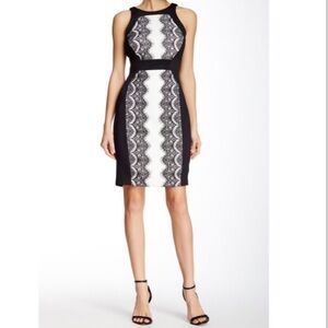 Sangria Scuba Lace dress